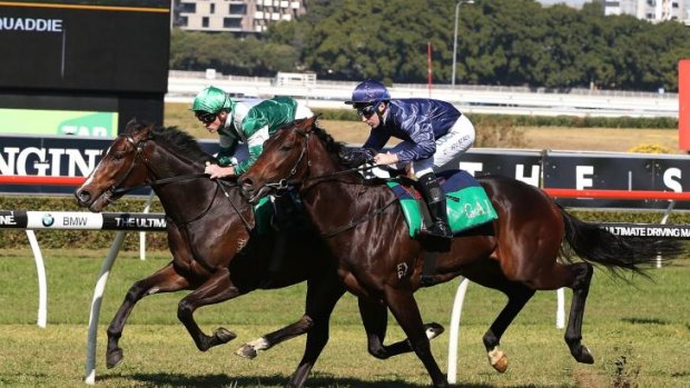 On trial: Josh Parr guides Almalad (green) while Tommy Berry pilots Valentia in an exhibition gallop at Randwick on Saturday.