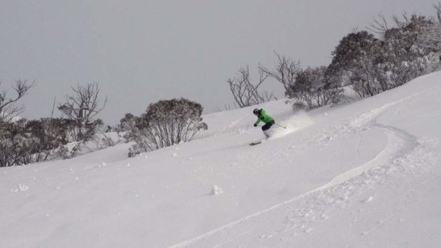 A skier enjoys the recent snowfall at Thredbo.