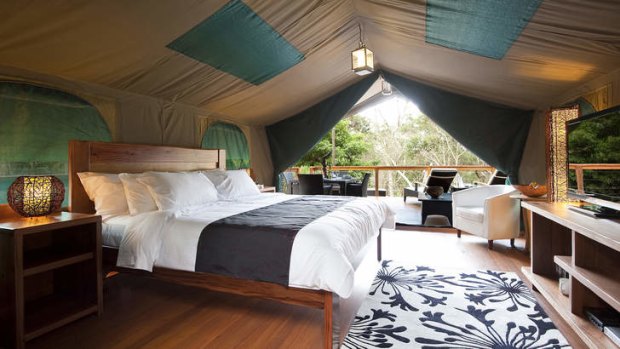 Luxury camping in  Lane Cove River Tourist Park.