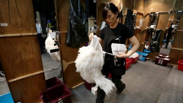 Lavish production: A local crew member carries swan legs inside the backstage dressing area of Matthew Bourne's <i>Swan Lake</i>.