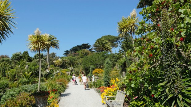 Tresco Abbey Gardens on the Isles of Scilly, Cornwall.