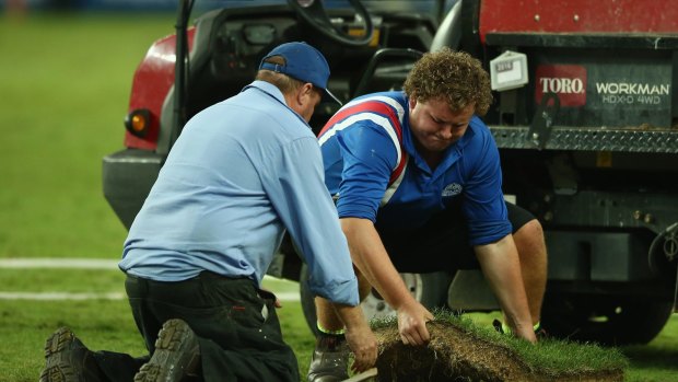 Urgent repairs: ground staff replace a piece of turf at Allianz Stadium during a Super Rugby match last season.