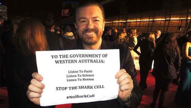 Ricky Gervais joining the fight against WA's shark-kill policy.