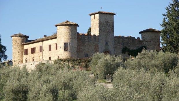 Under threat: The ancient olive groves of southern Italy.