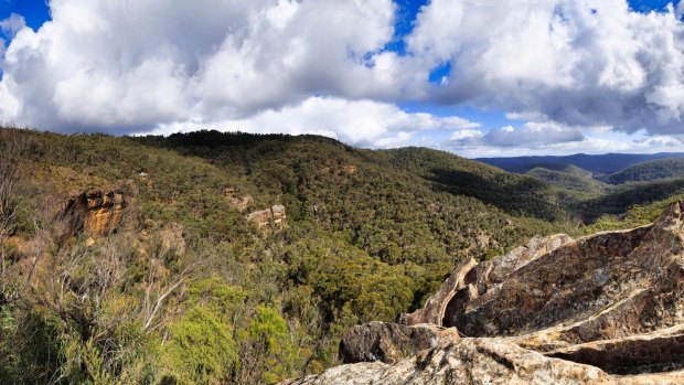 Blue mountains canyon, valley and tops from Du Faurs Lookout at Mount Wilson. 