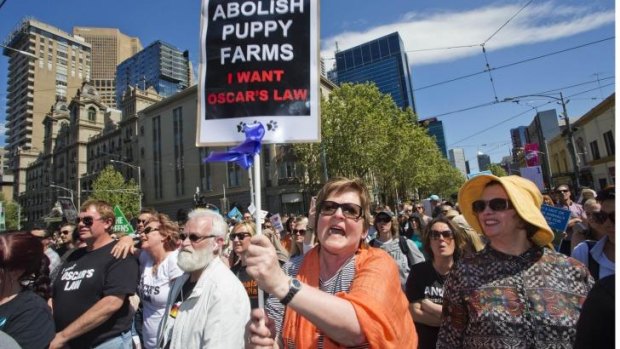 Melburnians rally outside state parliament as part of the Animals Matter to Me march. 