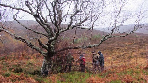 The guests learn how to build a shelter.