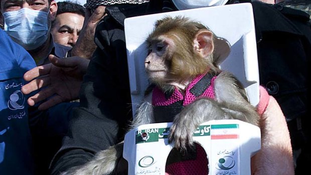 A man carries a monkey named Fargam, or Auspicious, during a mission to send it into space.
