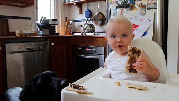 The dangers that lurk in the kitchen... messy kids, dogs, dirty teatowels, meat left out, fridge left open...