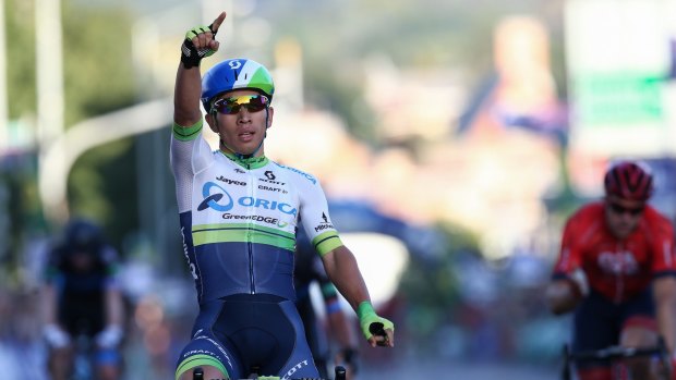 Not quite yet: Caleb Ewan's Tour de France dream may not happen this year.