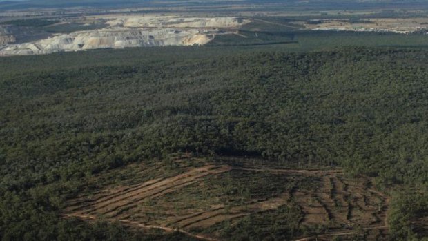 Maules Creek mine area inside the Leard State Forest: Whitehaven expects to move its first coal in January. 