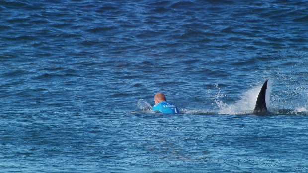 Close call: Mick Fanning is attacked by a shark.