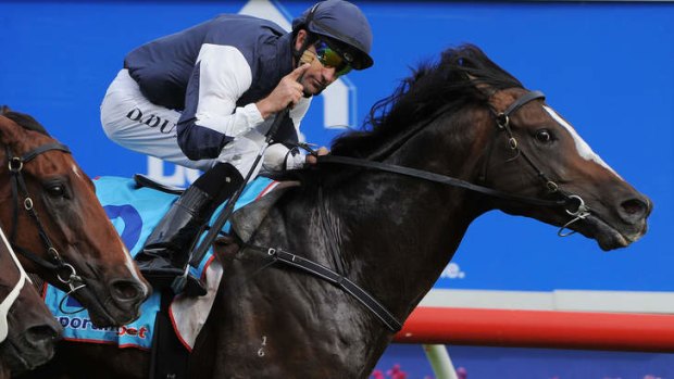 "I think the preferred way to go will be run in the Mackinnon Stakes": Jet Away trainer David Hayes.