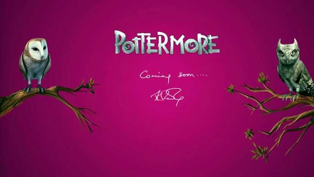Pottermore... a new video game, book series or...?