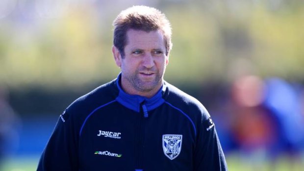 Dog fight ... Des Hasler has turned down the Blues position to concentrate on Canterbury.