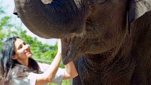 Back to work ... zookeeper Lucy Melo pictured in May alongside elephant Tang Mo.