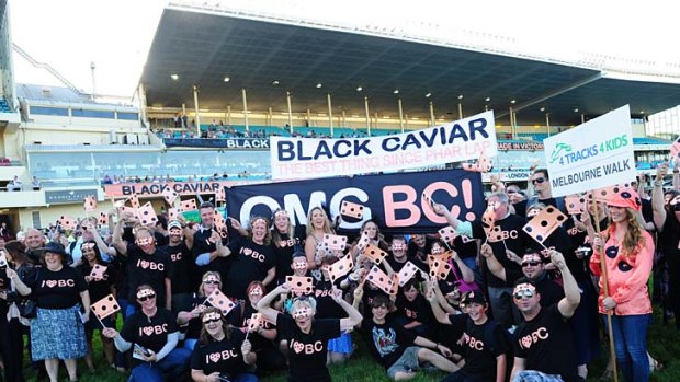 Black Caviar supporters.