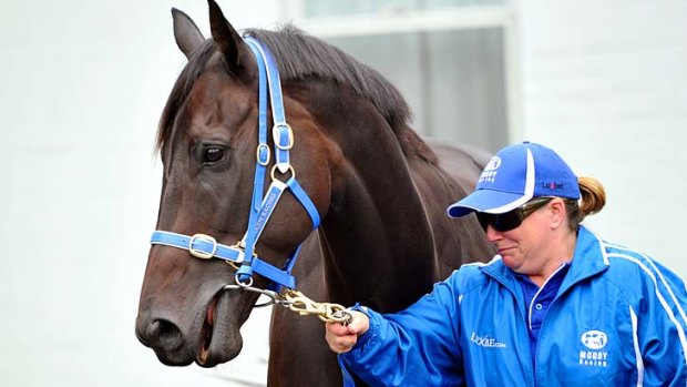 Strapper Donna Fisher with Black Caviar.