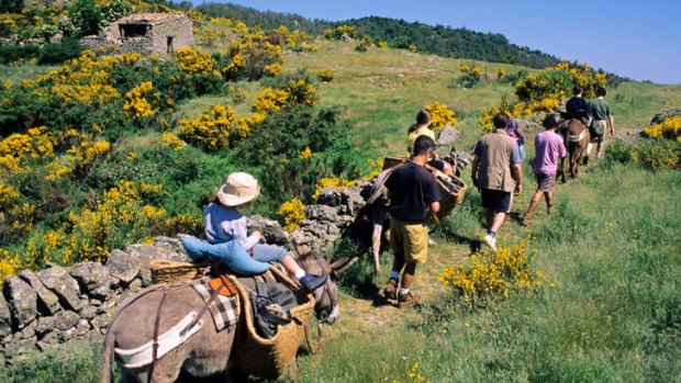A donkey ride in Cevennes, France.