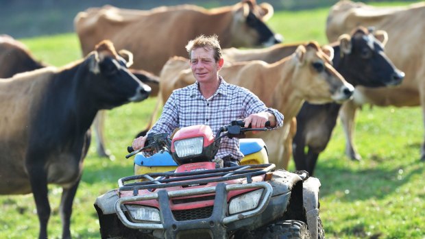 Dairy farmer Paul Mumford on his Won Wron farm. Mr Mumford does not support a 50 cent levy on fresh milk sales.