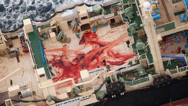 The deck of the Nisshin Maru after the whales were slaughtered.