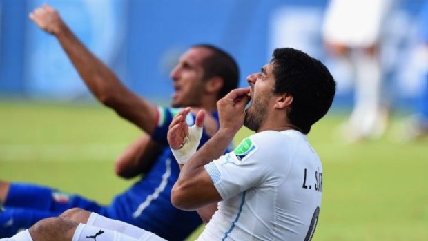 The latest bite ... Luis Suarez of Uruguay checks his teeth after chomping on Italian defender Giorgio Chiellini's shoulder.