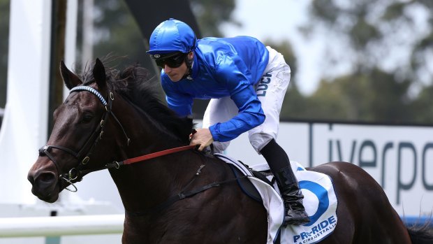 Part of double attack: Exosphere goes in The Run To The Rose at Rosehill.  Sam Clipperton takes the ride.