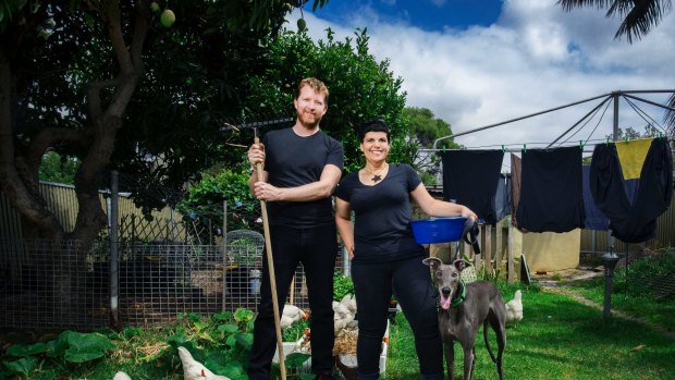 Project Hound celebrated ex-racing greyhounds and the diversity of their new owners, who are featured around their homes and in work environments.