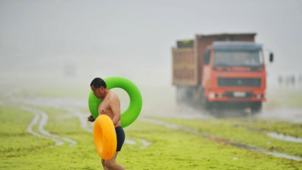 A man carries floats as he walks on an algae covered beach as a truck collecting algae passes by, along the coastline in Qingdao, Shandong province.