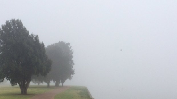 Fog at Cherry Lake, Altona on Saturday morning. 