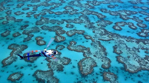 "The reef may still be magnificent for much of its 2000-kilometre length but the long-term trend is clear and ominous."