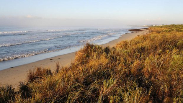 Coastal land near Narrawong, near Portland.