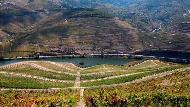 Quinta dos Murcas, a vineyard in Portugal's Douro region.