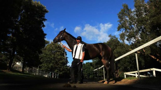 Ready to seize the moment: Samaready is the early favourite for the Black Caviar Lightning.