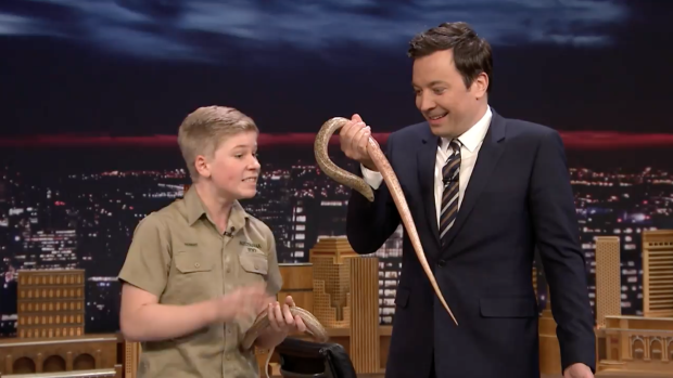 Robert Irwin introduces Jimmy Fallon to a legless lizard. 