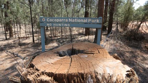 Closed for trial: Cocoparra National Park.