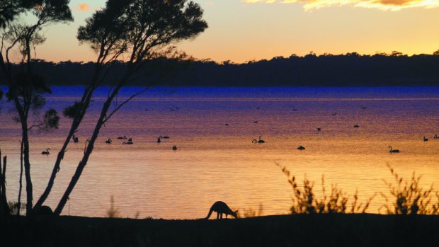 Waterfront Retreat at Wattle Point.