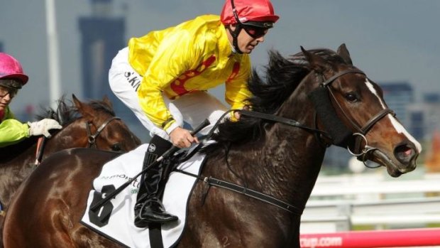 Steven King was successful at Flemington on Saturday.
