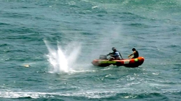 Muriwai Beach ... police shoot at a shark as they attempt to retrieve a body.