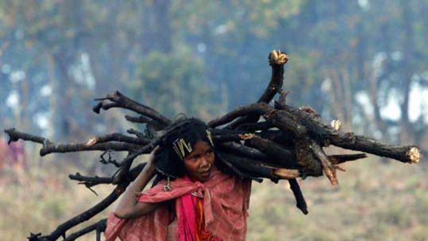 The simple life goes on: A woman from the Dongria Kondh tribe collects firewood on top of Niyamgirl Mountains. <i>Picture: Reuters</i>