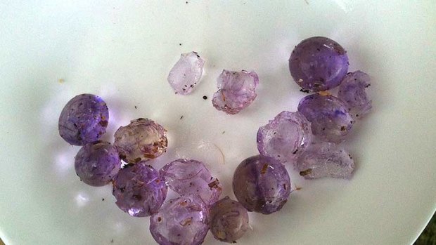 Andrew Dedman found these purple grape-like balls in his Wattle Grove garden.