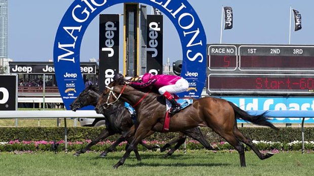 Neck up &#8230; Damian Browne gets Saluter home by the smallest of margins in Saturday's Magic Millions Guineas.