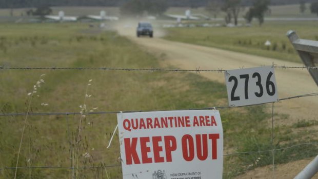 The Wambanumba Free Range poultry farm, near Young, where more than 400,000 hens were culled and 3 million eggs destroyed.