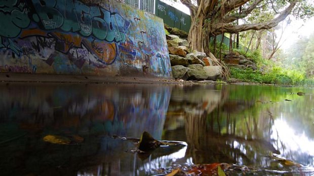 The Cooks River at Strathfield &#8230; the water, once popular with swimmers and patrolled by lifeguards, is contaminated by sewage and bacteria.
