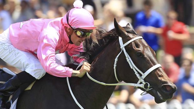 Pretty quick in pink ... Corey Brown scores on Champagne Cath at Rosehill earlier this month. To his disappointment, she is unlikely to run in the Magic Millions.