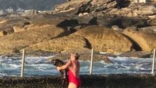 Melissa Hatheier throws the shark out of the Oak Park rock pool. 