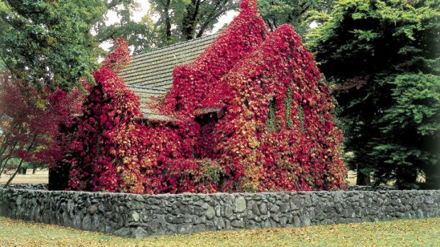 Places of beauty: Gostwyck Church in Uralla.