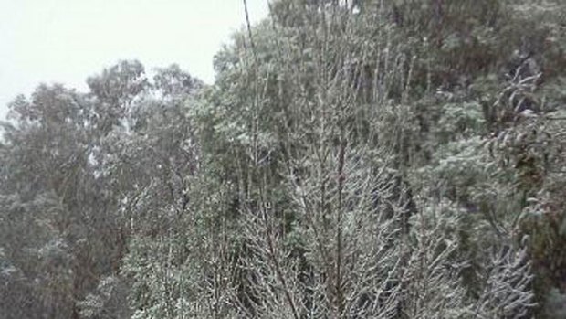 Snow at Mount Victoria in the Blue Mountains.