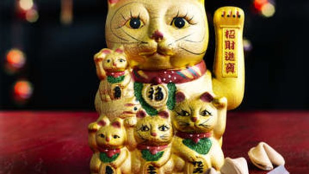 The newsagent keeps a lucky cat to give his Lotto customers an edge. 