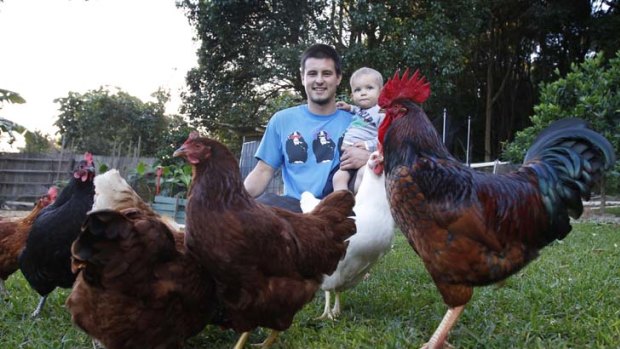 Roger and out ... Patrick Chong with his son Noah, Roger the rooster, and his hens at his property in Wimbledon Grove. Lake Macquarie City Council has told Mr Chong to get rid of Roger after pressure from a neighbour.